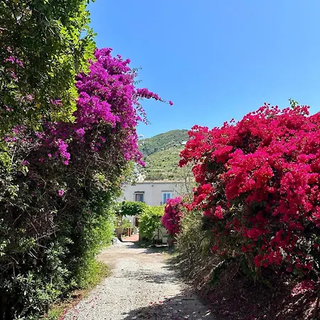 Tiche Guest house Cefalu